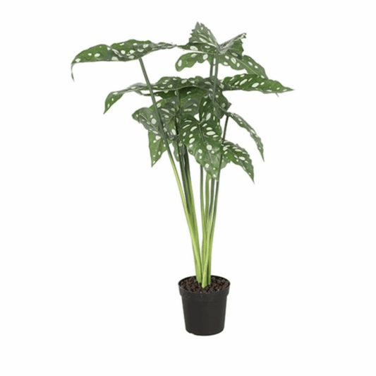 Alocasia groen 80cm Kunstplant Ohker Living