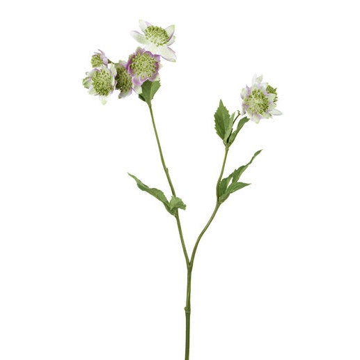 Astrantia 50cm lila Kunstplant Ohker Living