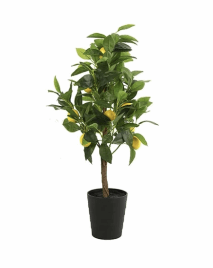 Citrus limon S geel-L43B43H75CM Kunstplant Countryfield