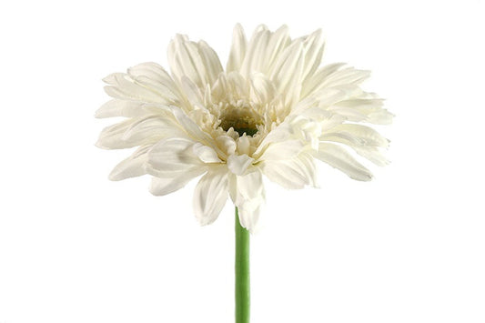 Gerbera Leanne wit-L8B8H63,5CM Kunstplant Countryfield