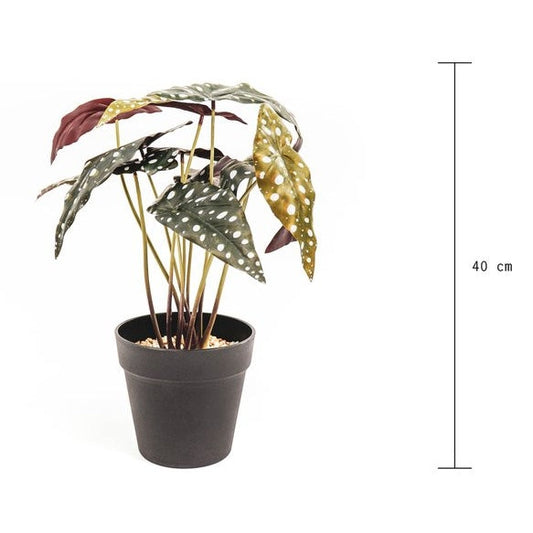 HV KUNSTPLANT - ALOCASIA - 15X40X35CM nu €12,50 Kunstplant Housevitamin