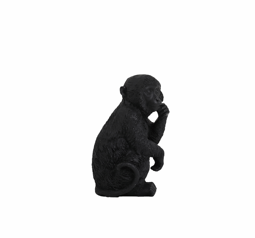 Ornament MONKEY zwart Ornament Light & Living