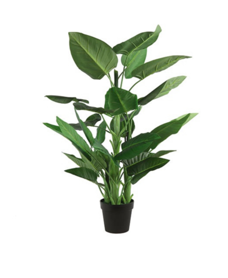 Strelitzia L groen-L60B60H88CM nu €50,- Kunstplant Countryfield