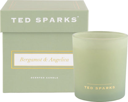 TED SPARKS - Demi - Bergamot & Angelica Geurkaars Ted Sparks